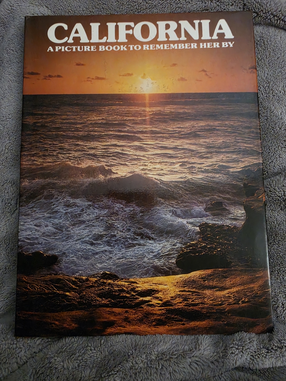California: A Picture Book to Remember Her By